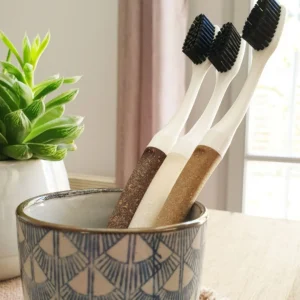 Brosse à dents tête interchangeable