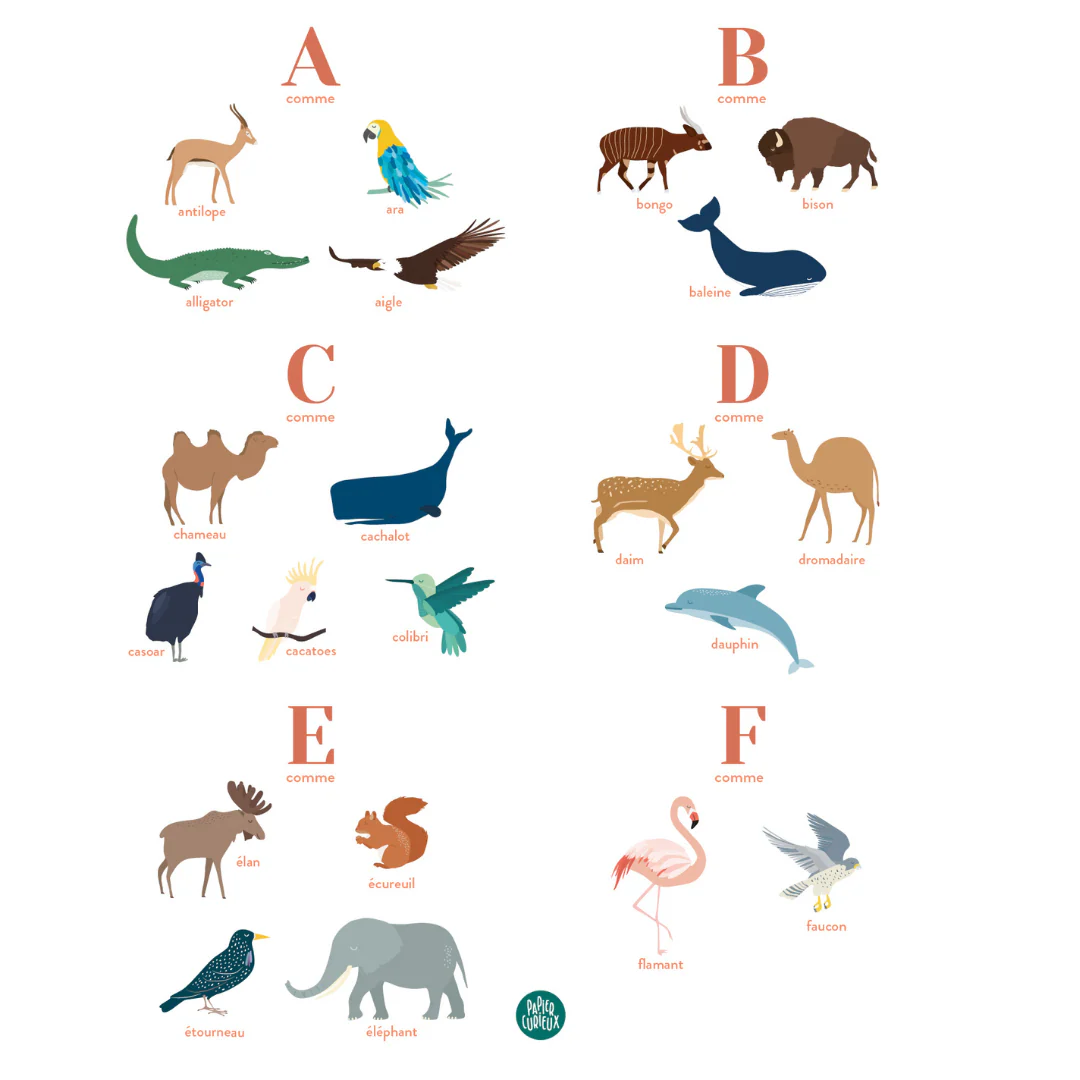 Abécédaire personnalisable - Animaux – Image 7