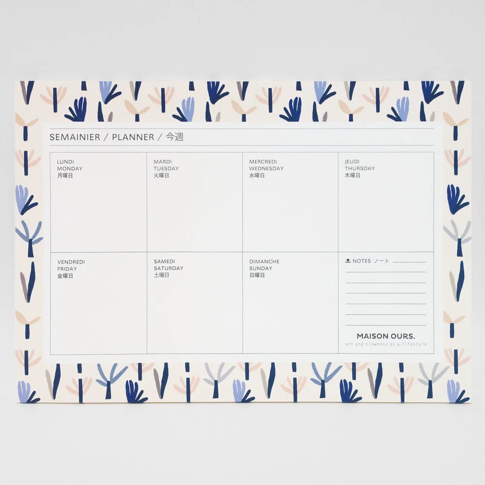 Semainier Succulentes – Image 3