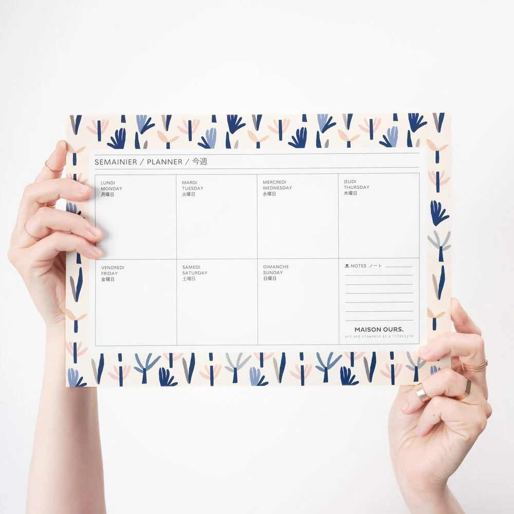 Semainier Succulentes – Image 2