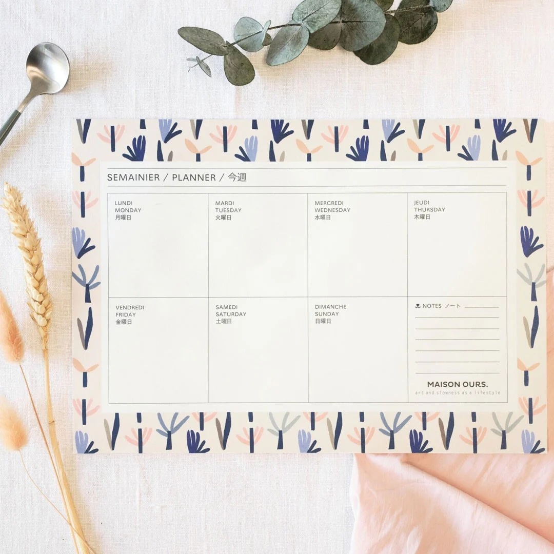 Semainier Succulentes