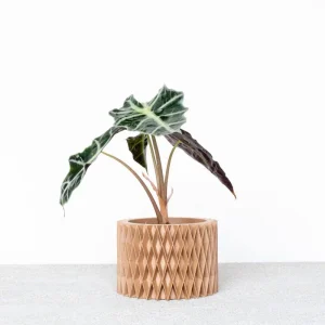 Jardinière d'intérieur Croix