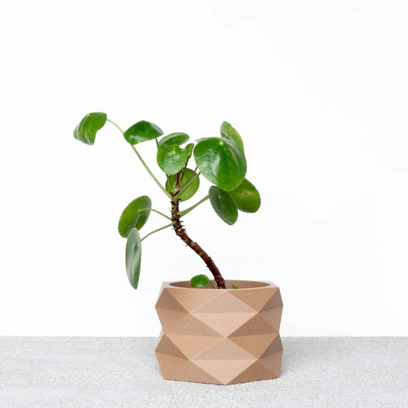 Jardinière d'intérieur Diamant – Image 3