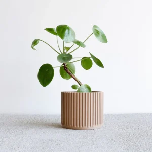 Jardinière d'intérieur Stockholm