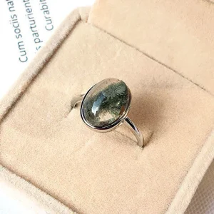 Anneau Ajustable de la Manifestation