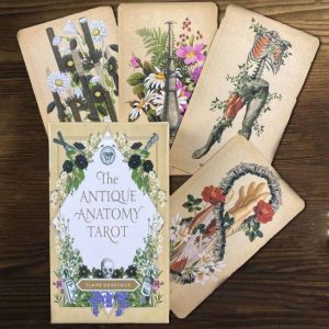 Jeu de Tarot 'Anatomie Antique'