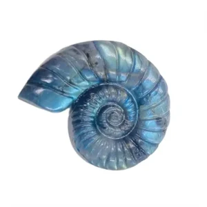 Escargot de Labradorite – Un Design Unique Pour Les Collectionneurs