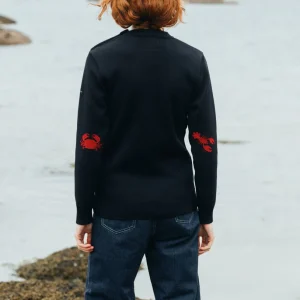 Pull à coudières "Homard & Crabe"
